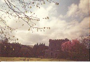 Castle in Springtime