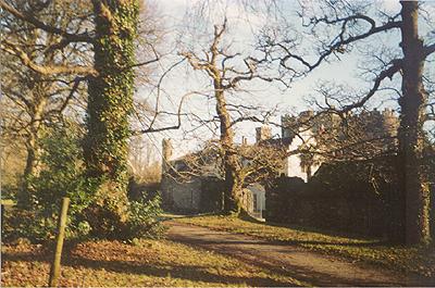 Gnarled Trees in Front of Old Abbey