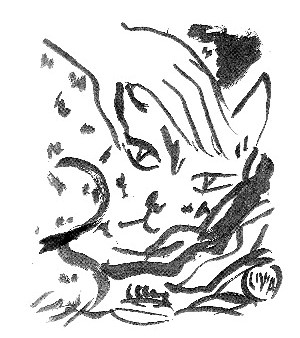 Chapter 3 Illustration